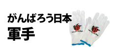 0269 : がんばろう日本軍手