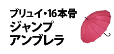 0441 : プリュイ・１６本骨ジャンプアンブレラ